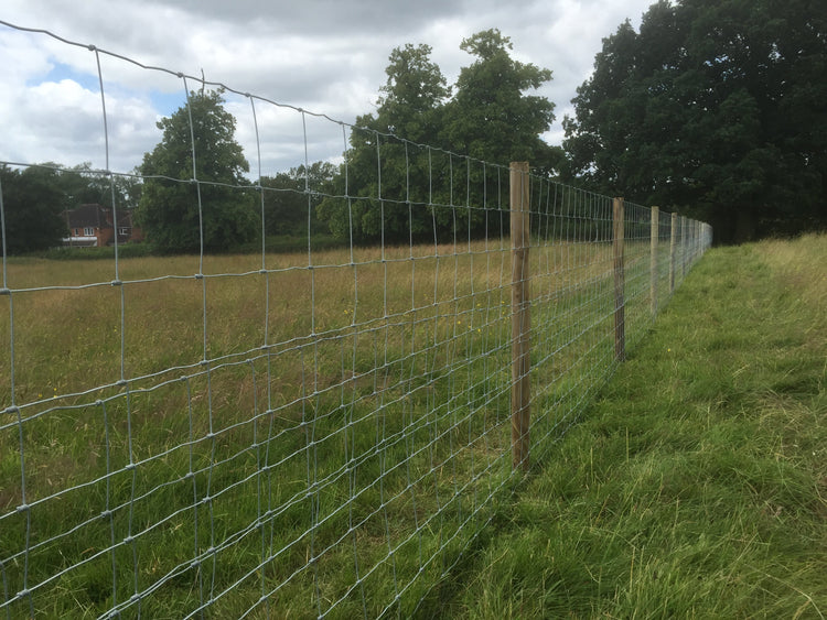 Electric Fencing for Farms: A Smart Solution for Livestock and Property Protection