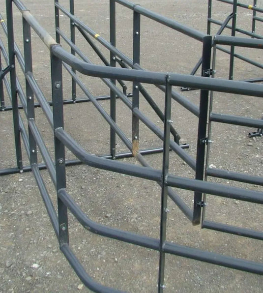 Bend for Cattle crush