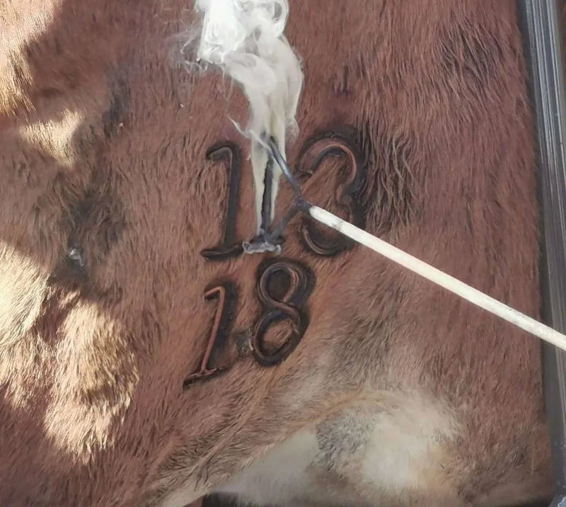 Load image into Gallery viewer, Branding Iron Sets
