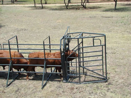 Cattle Draft Gate (2-way)