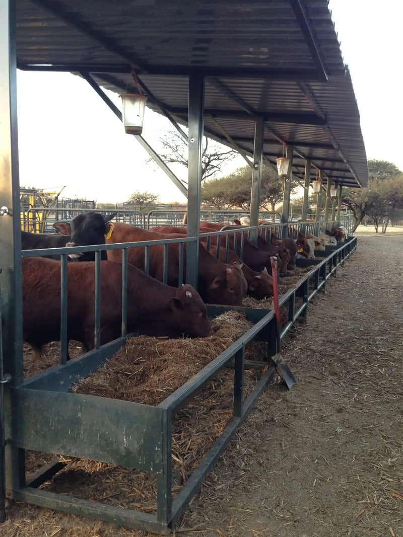 Load image into Gallery viewer, Cattle Feedlot Trough
