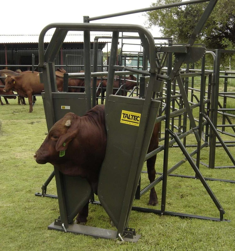 Load image into Gallery viewer, Cattle Neck Clamp (Brahman)
