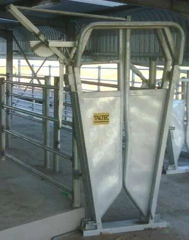 Cattle Neck Clamp (Brahman)