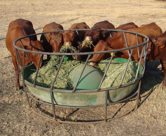 Cattle Ring feeders