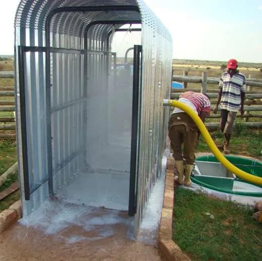 Cattle Spray Race (Static)