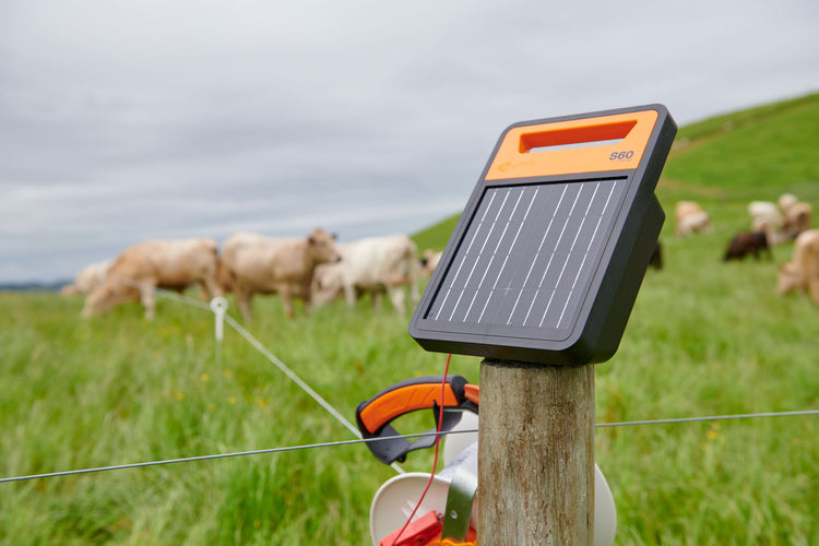 Pasture Management