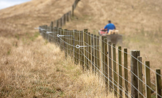 Permanent Fencing