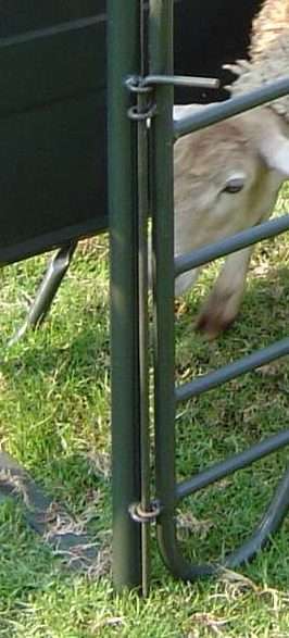 Kraal Pins