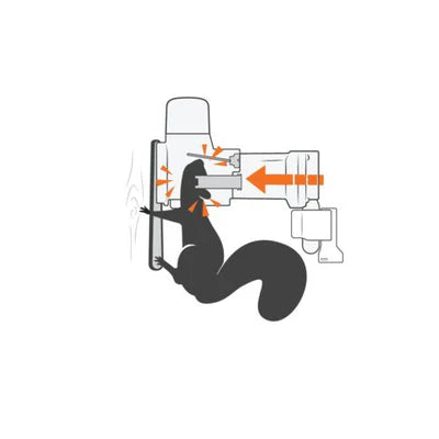 Goodnature A18 Squirrel Trap Kit