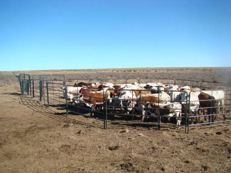 Load image into Gallery viewer, Portable Cattle Kraal with Trailer
