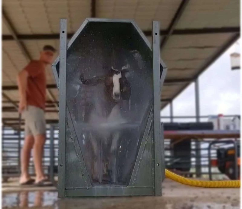 Load image into Gallery viewer, Sheep Spray Race
