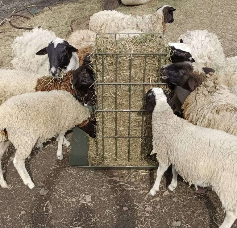 Load image into Gallery viewer, Square Bale Feeder
