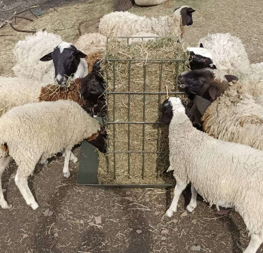 Square Bale Feeder