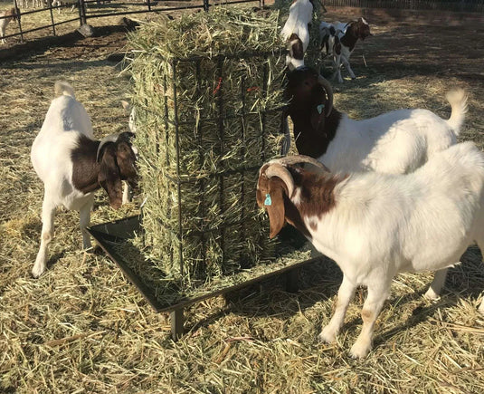 Square Bale Feeder