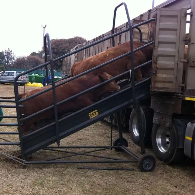 Load image into Gallery viewer, TLR2 Cattle Loading Ramp (Wheelbarrow Wheels)
