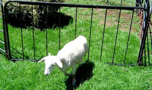 TSK7 Lamb Creep Panel (1850 x 900mm)
