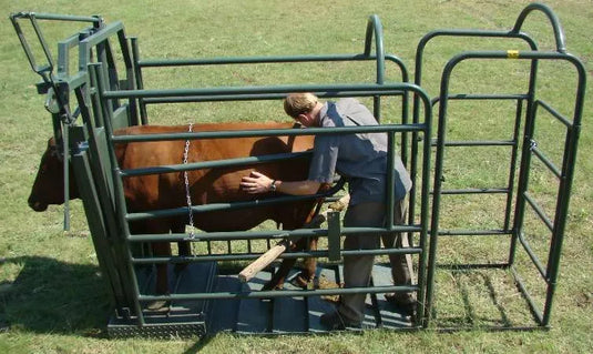 Vet clamp (Cattle)