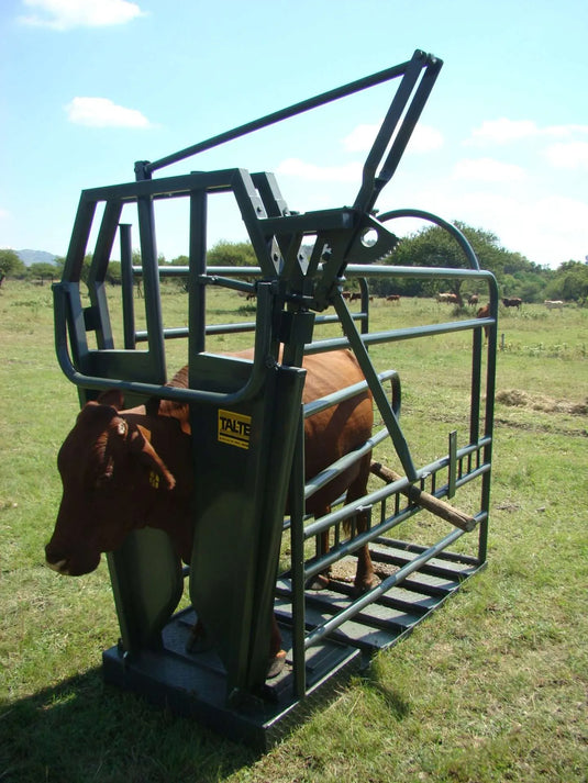 Vet clamp (Cattle)