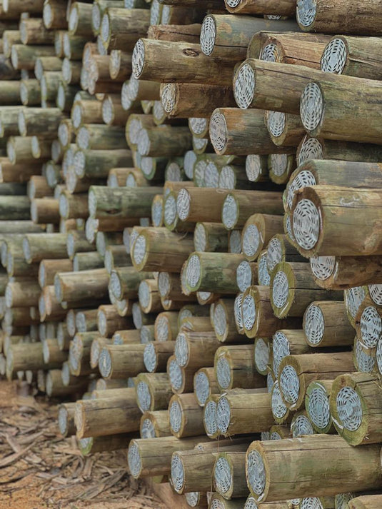 Wood Posts