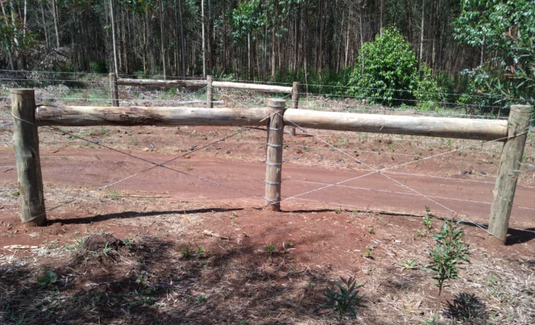 Wood Posts